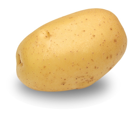 potato
